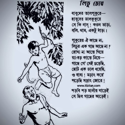 লিচু চোর কবিতা