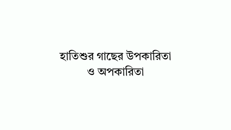 হাতিশুর গাছের উপকারিতা