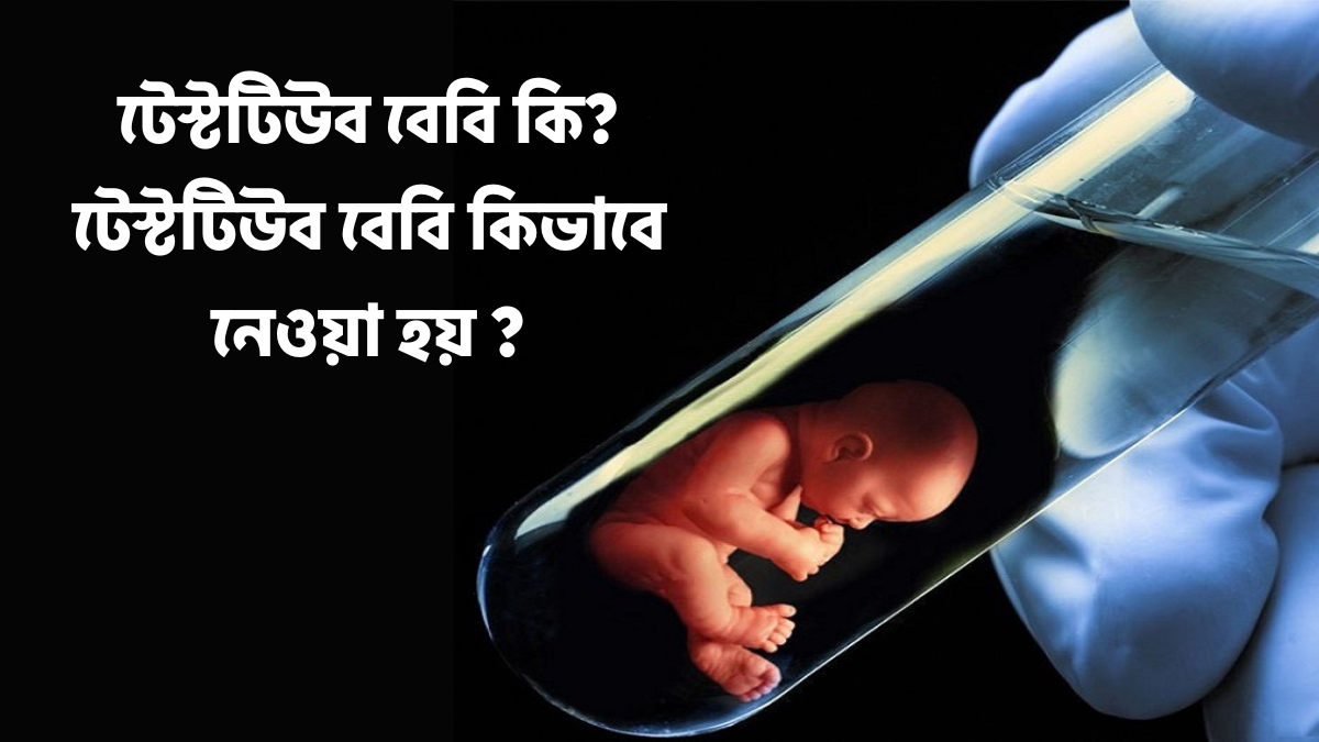 টেস্টটিউব বেবি কি