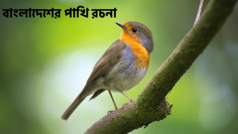 বাংলাদেশের পাখি রচনা