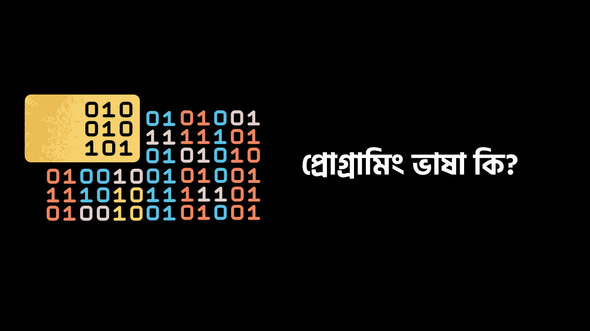 প্রোগ্রামিং ভাষা কি