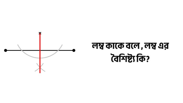 লম্ব কাকে বলে