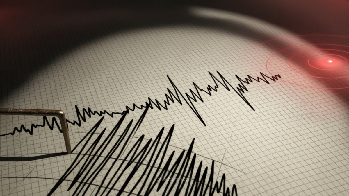 ভূমিকম্প চলাকালীন করণীয়