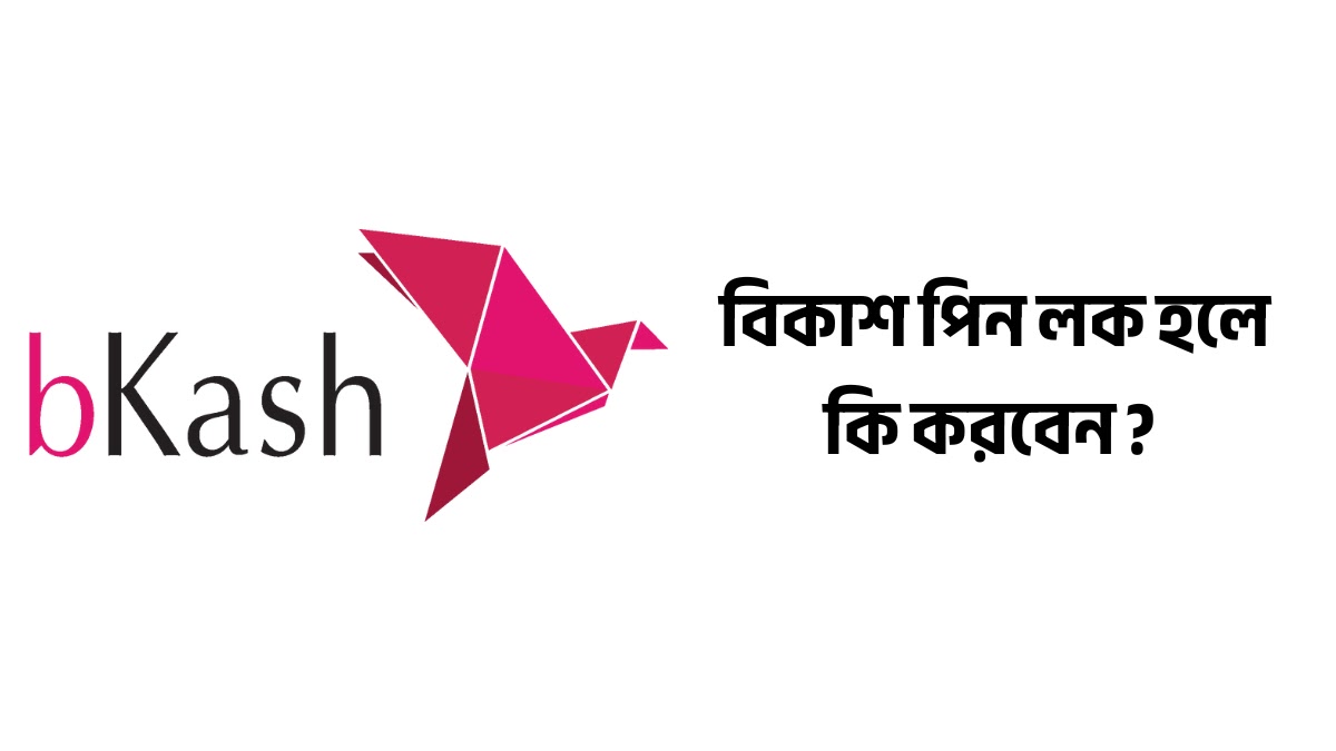 বিকাশ পিন লক হলে কি করবেন