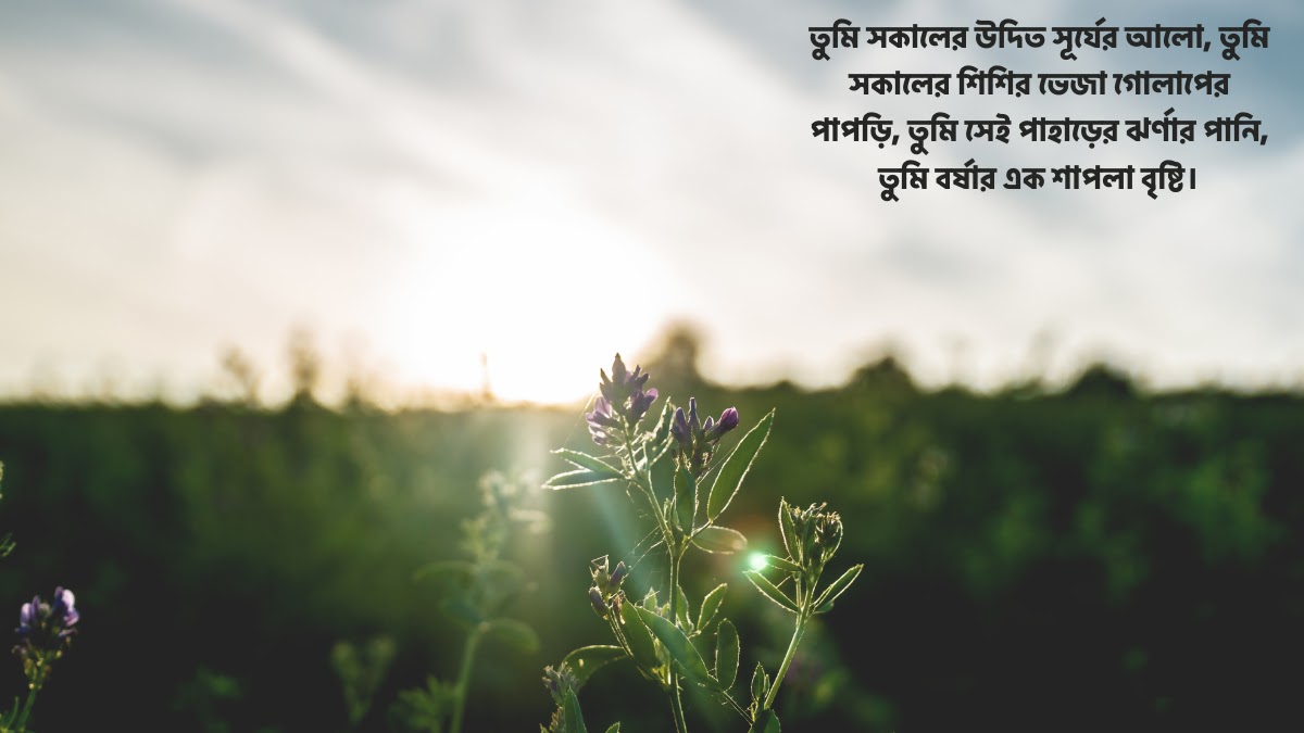 শুভ সকাল নিয়ে উক্তি