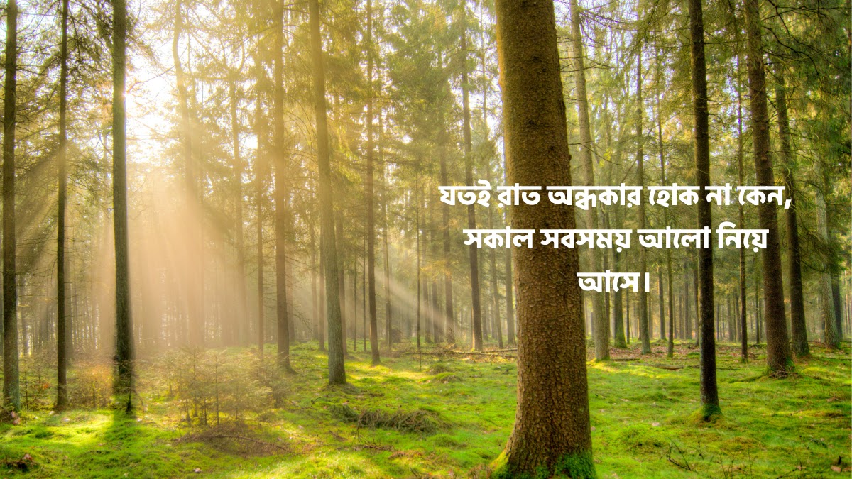 শুভ সকাল নিয়ে উক্তি