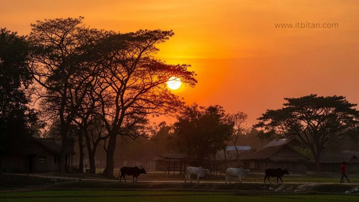 গ্রামের দৃশ্য ছবি ডাউনলোড | গ্রামের দৃশ্য ছবি 44 গ্রামের দৃশ্য ছবি ডাউনলোড
