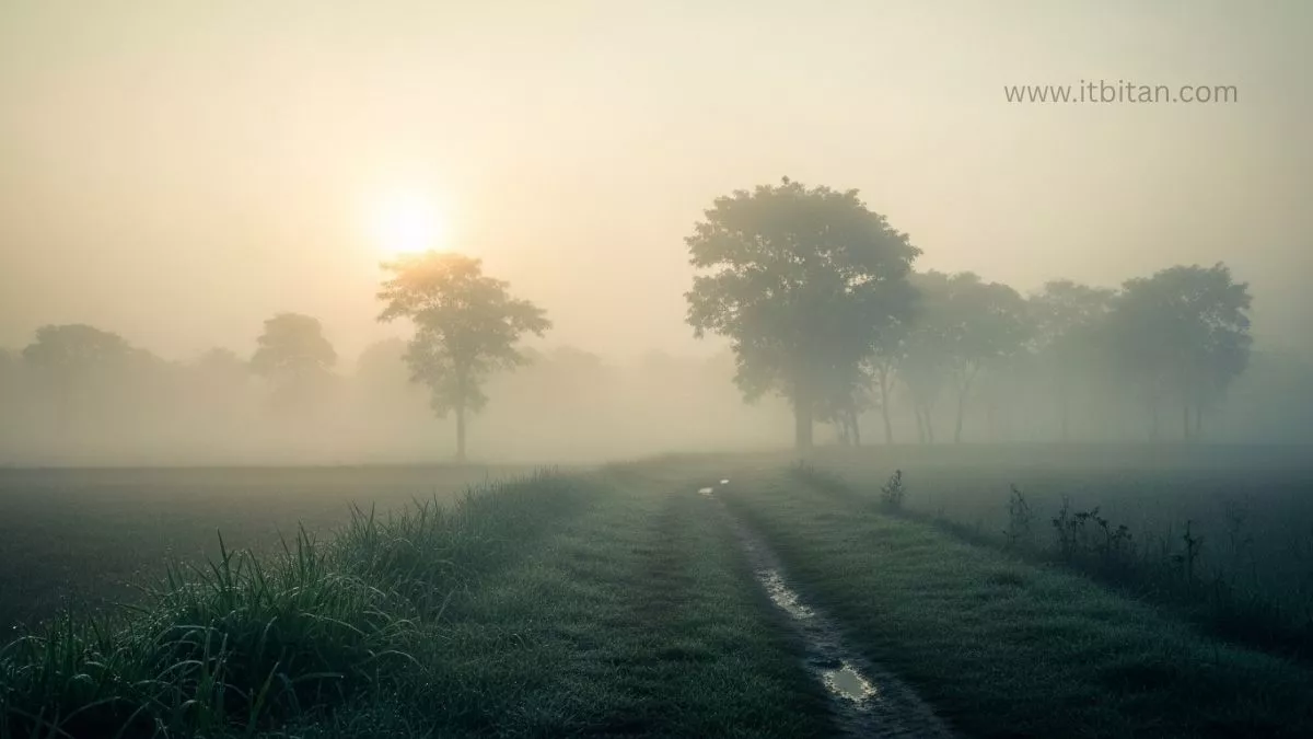 গ্রামের দৃশ্য ছবি ডাউনলোড | গ্রামের দৃশ্য ছবি 29 গ্রামের দৃশ্য ছবি ডাউনলোড