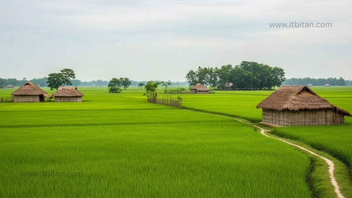 গ্রামের দৃশ্য ছবি ডাউনলোড | গ্রামের দৃশ্য ছবি 5 গ্রামের দৃশ্য ছবি ডাউনলোড