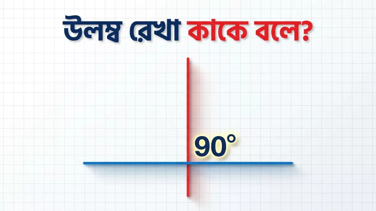 উলম্ব রেখা কাকে বলে